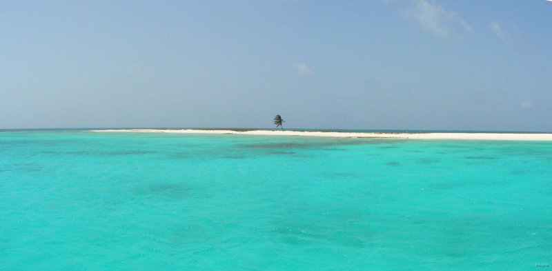 59- Ile de Curricai 